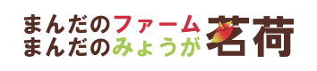 まんだふのファーム まんだのみょうが 茗荷